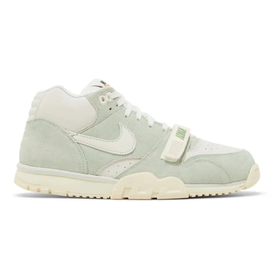 Air Trainer 1