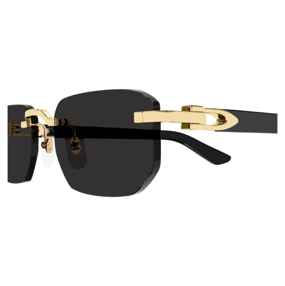 CT0622S Okulary Przeciwsłoneczne