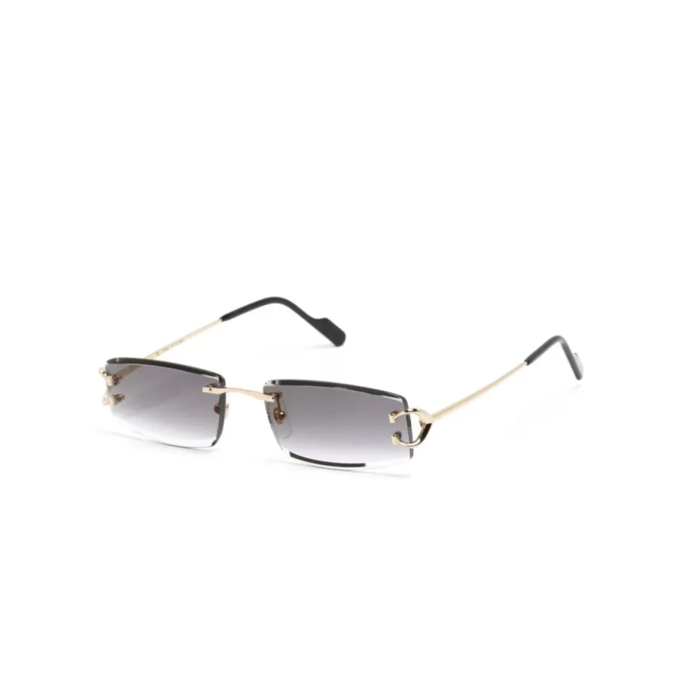 CT0465S 001 Sunglasses