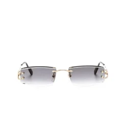 CT0465S 001 Sunglasses