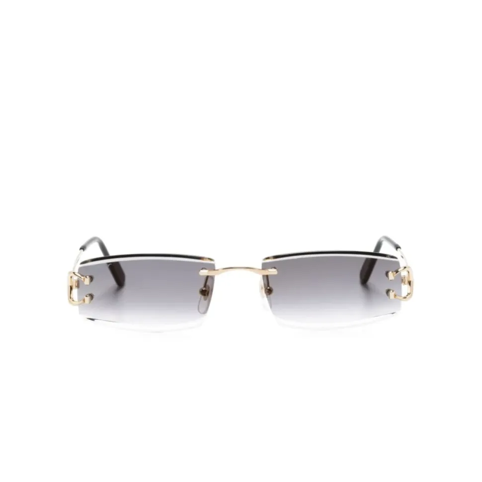 CT0465S 001 Sunglasses