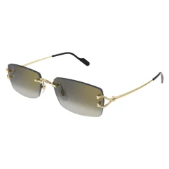 CT0550S 001 Sunglasses