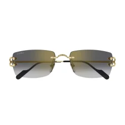 CT0550S 001 Sunglasses