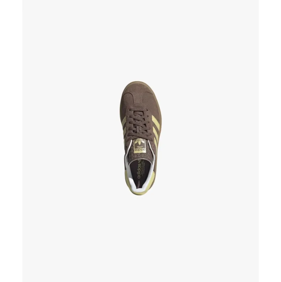 Gazelle Bold