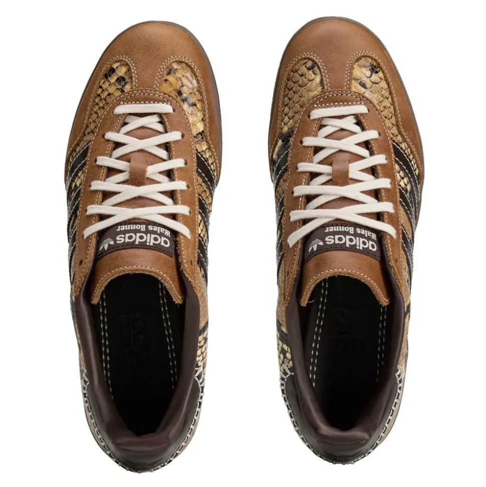 Gazelle Indoor Rattlesnake