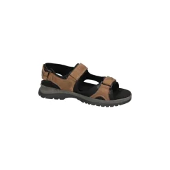 H-Taro Sandal