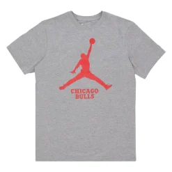 Koszulka Chicago Bulls Tee Essential Gray