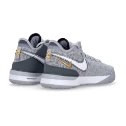 Koszykarskie buty Lebron Nxxt Gen