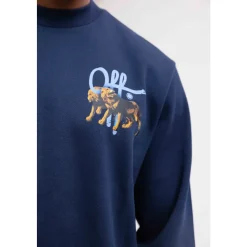 Lion Training Set
