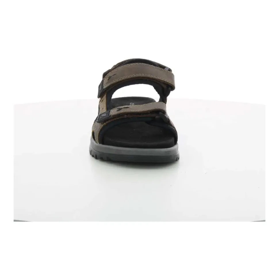 TARO Flat Sandal