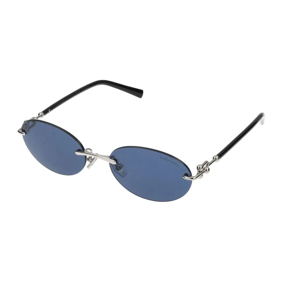 TF3104D Sunglasses
