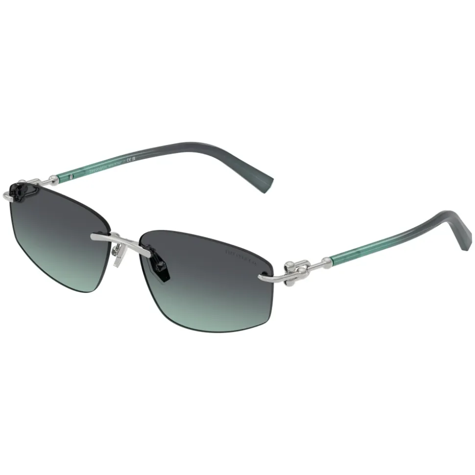 TF3114 Sunglasses