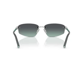 TF3114 Sunglasses