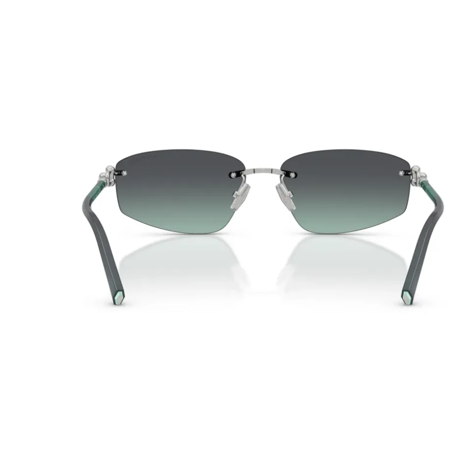 TF3114 Sunglasses