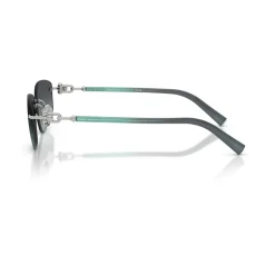 TF3114 Sunglasses