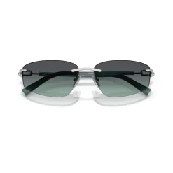 TF3114 Sunglasses